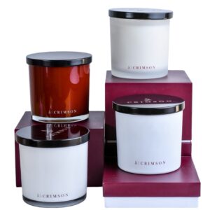 Oplus_131072 12 Days of Christmas Set