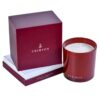 Eucalyptus Elixir 3-Wick Candle