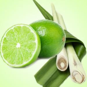 citronella Amber Musk 3-Wick Candle