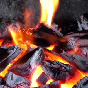 sacred wood Amber Musk 3-Wick Candle