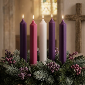 Ribbed Taper candles Ribbed Advent Taper Candles <br>Set of 5 (Pre-Order)
