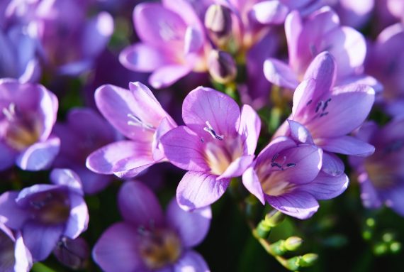 92004966-3c48-4cb4-9508-65b8a118f935