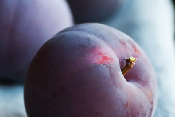 plum