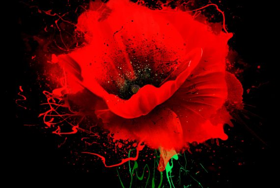 Beautiful,Red,Poppy,With,Splashes,Of,Paint,On,Black,Background.
